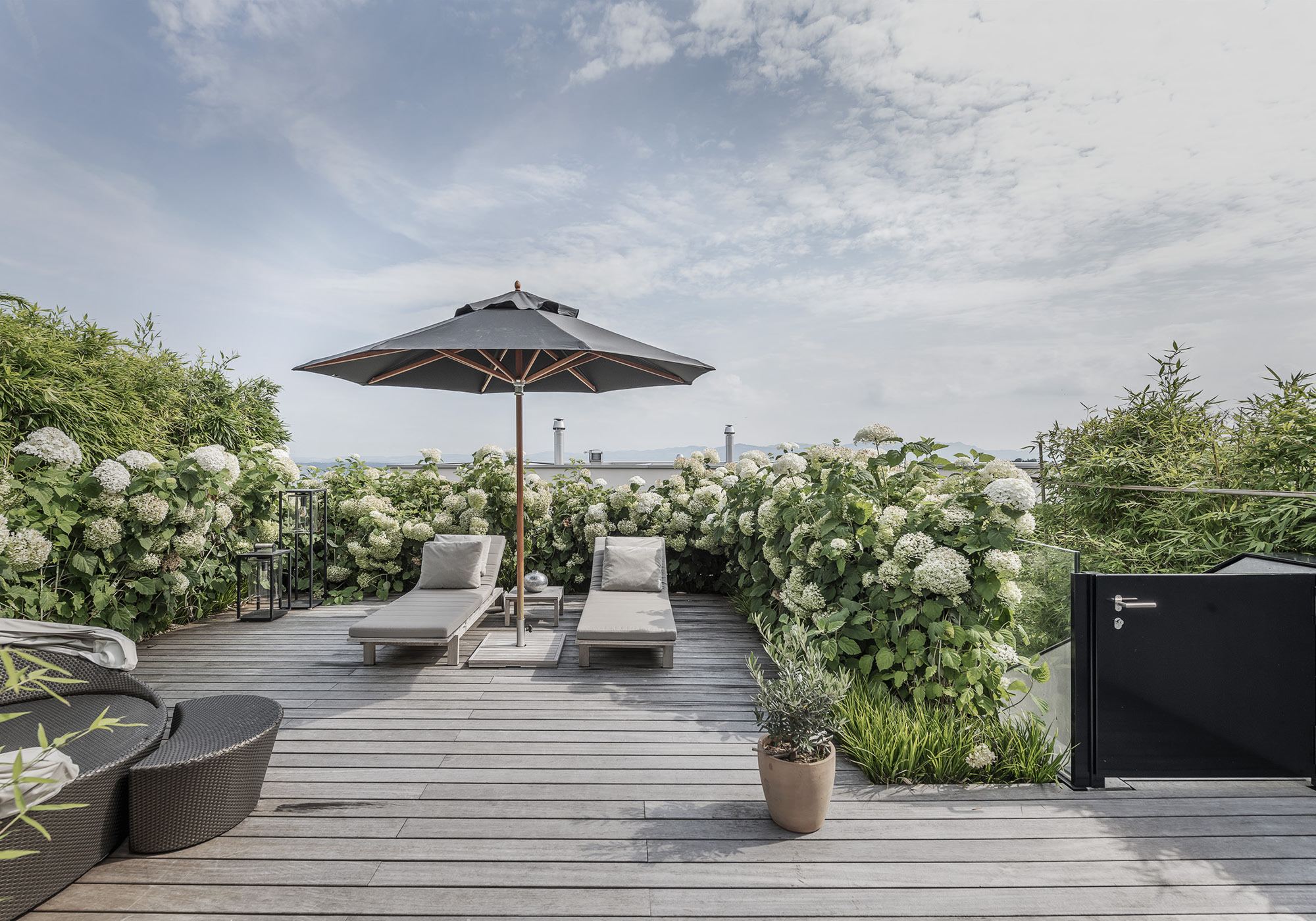 Roof terrace with loungers, parasol and hydrangeas – Single-family house in Schindellegi