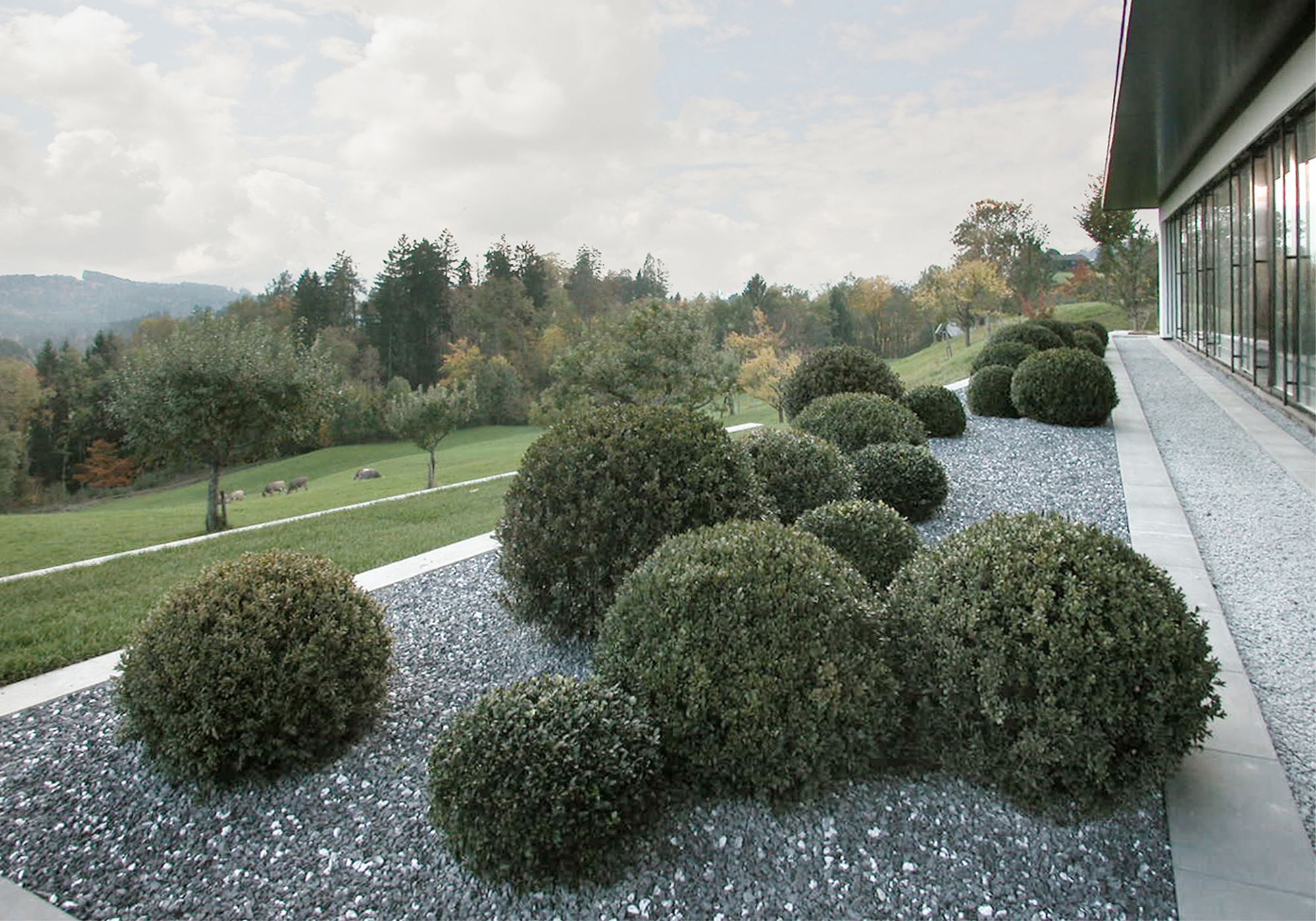 Gravel garden with box balls and wide view – Single-family house in Teufen