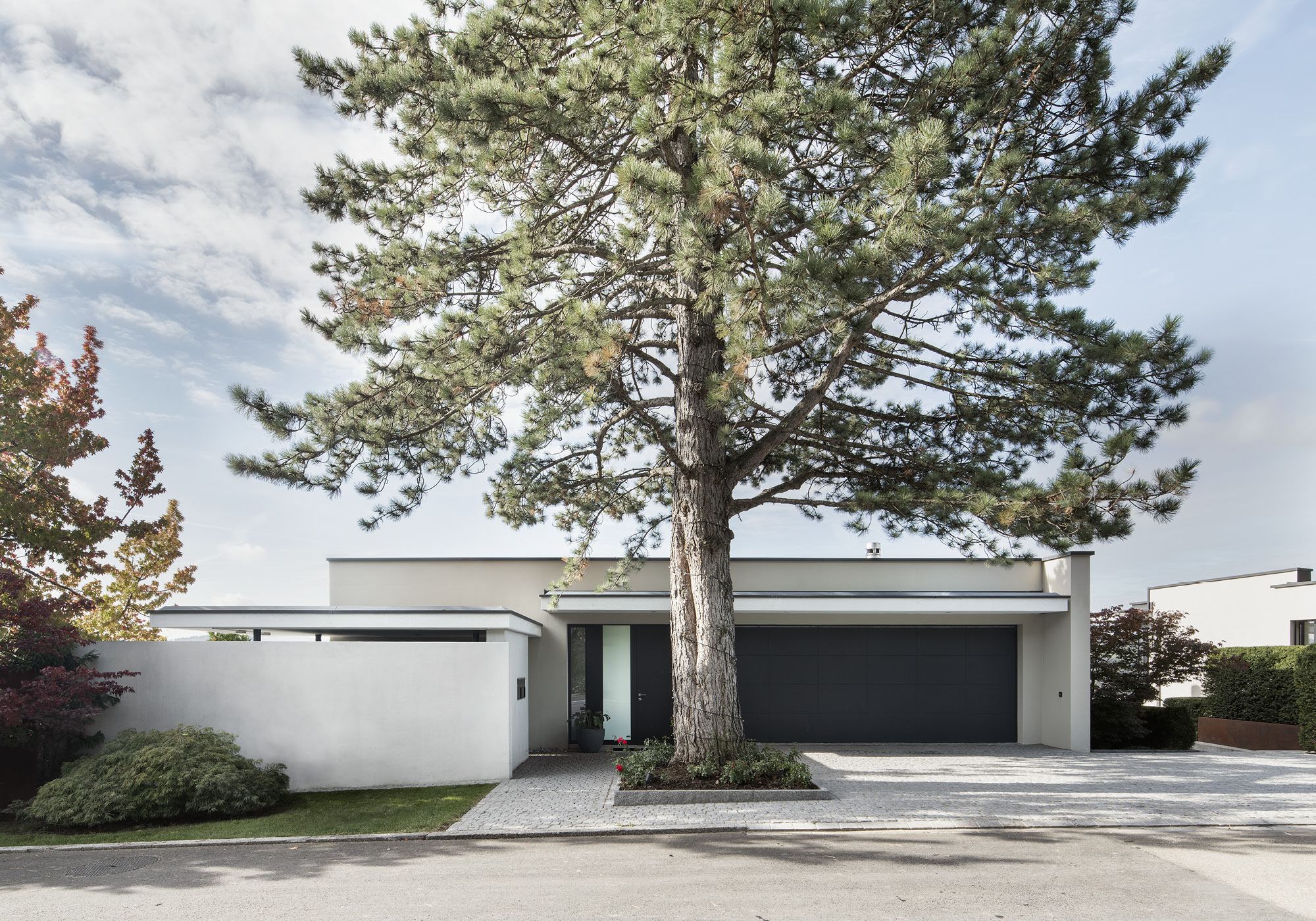 Low building with garage beneath a large pine – Single-family house in Uitikon