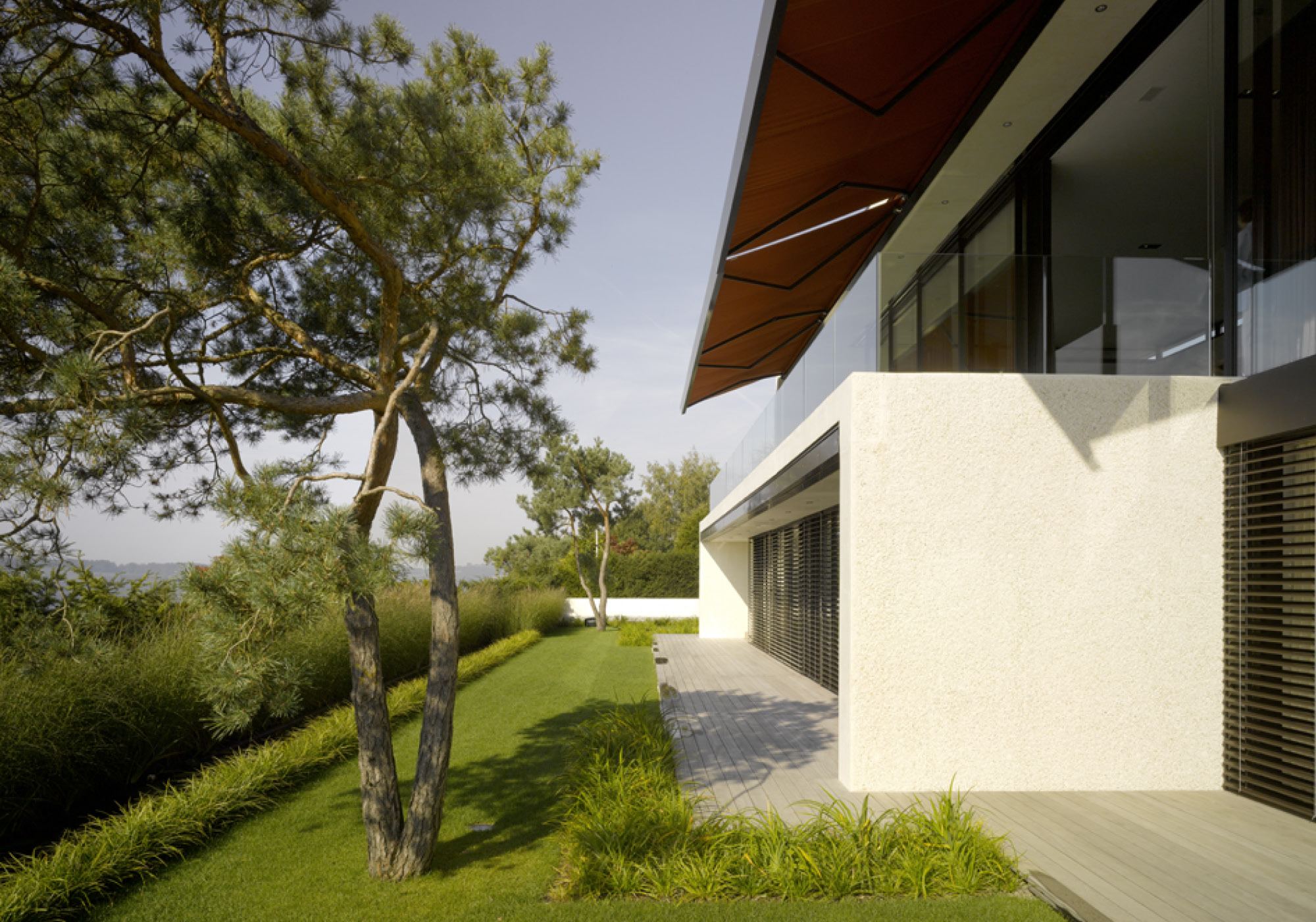 Pine in front of the light facade – Single-family house in Uitikon