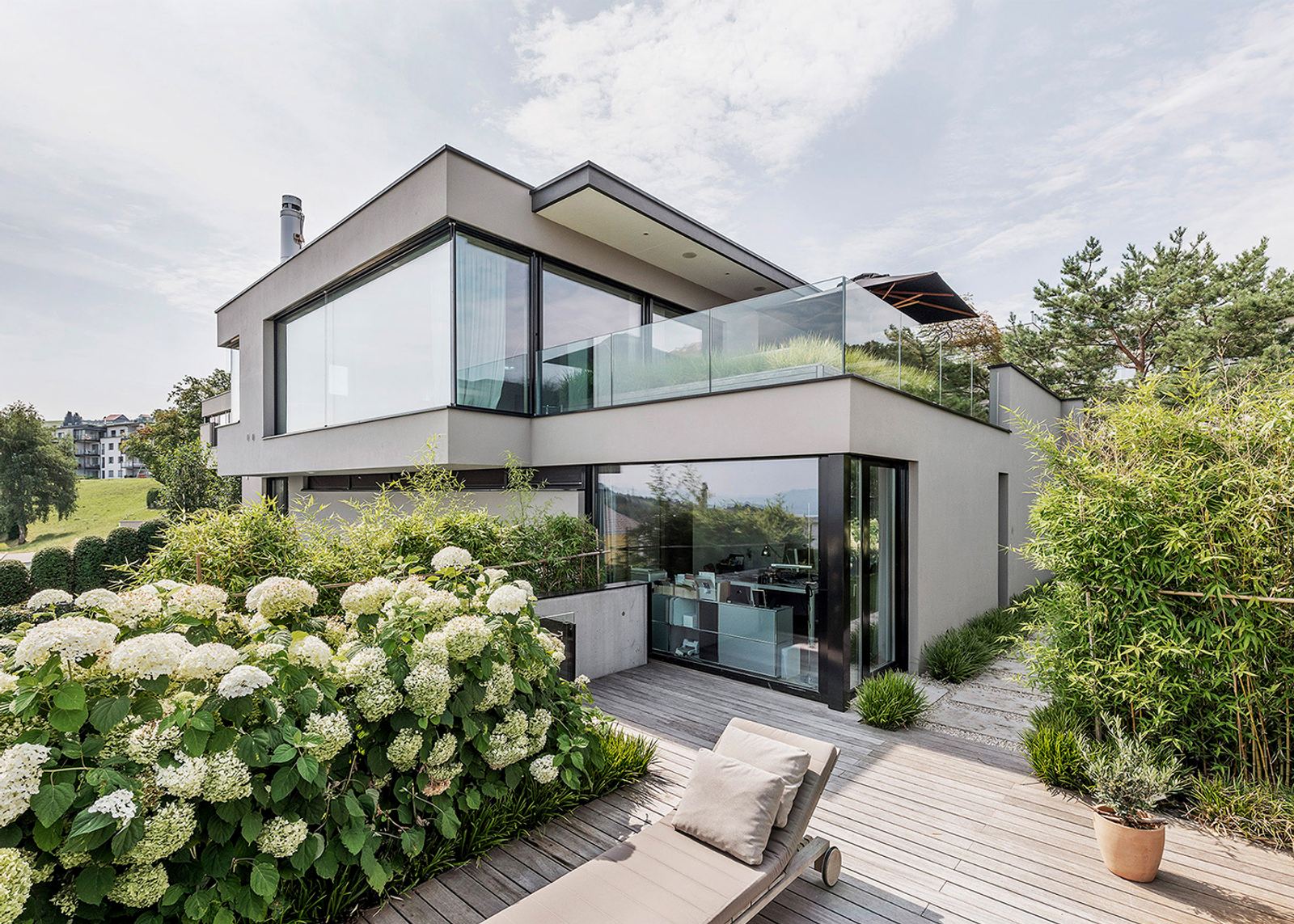 Hydrangeas and timber deck in front of the glass facade