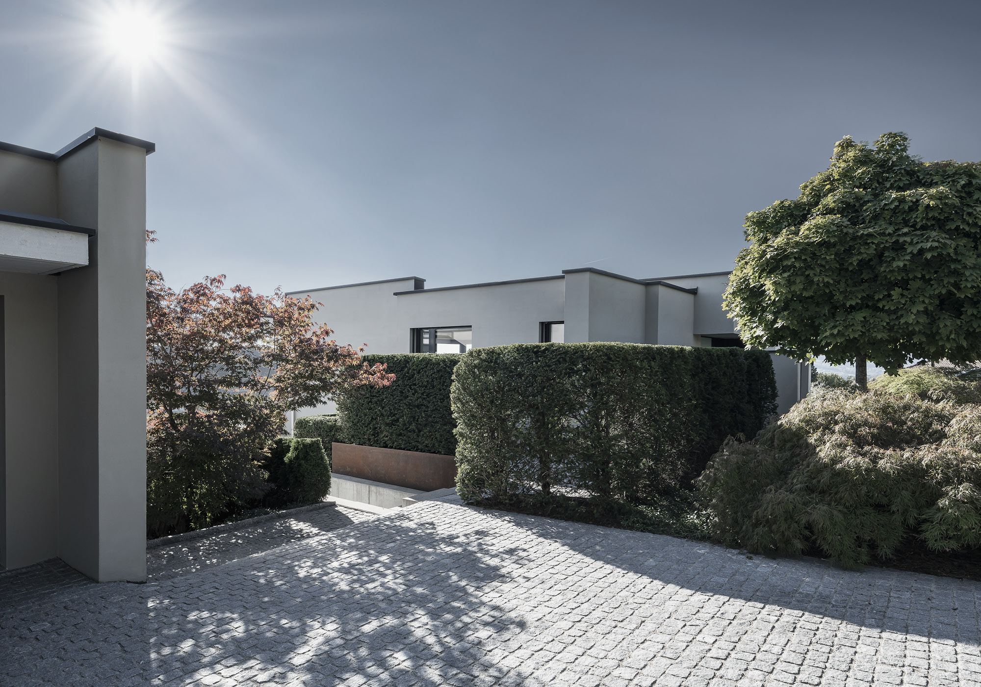 Paved forecourt with hedge and trees – Single-family house in Uitikon