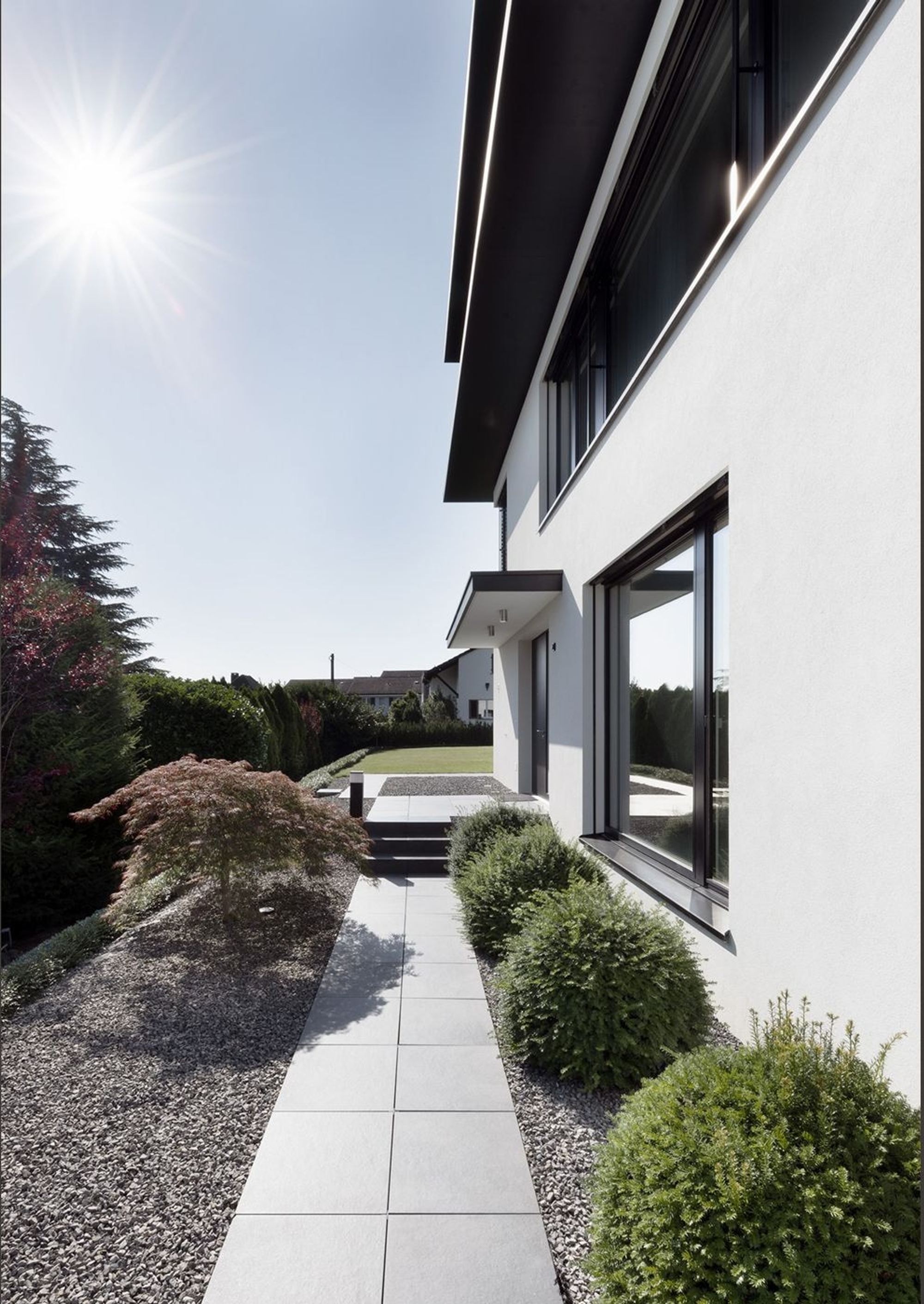 Paved path along the facade with box balls – Single-family house in Zürich