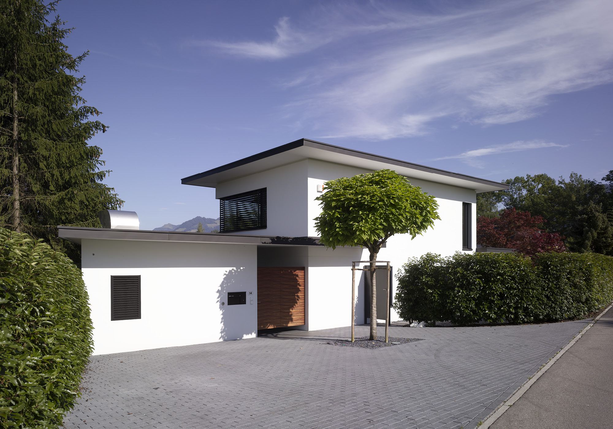 Entrance side with globe tree and hedge – Single-family house in Lachen