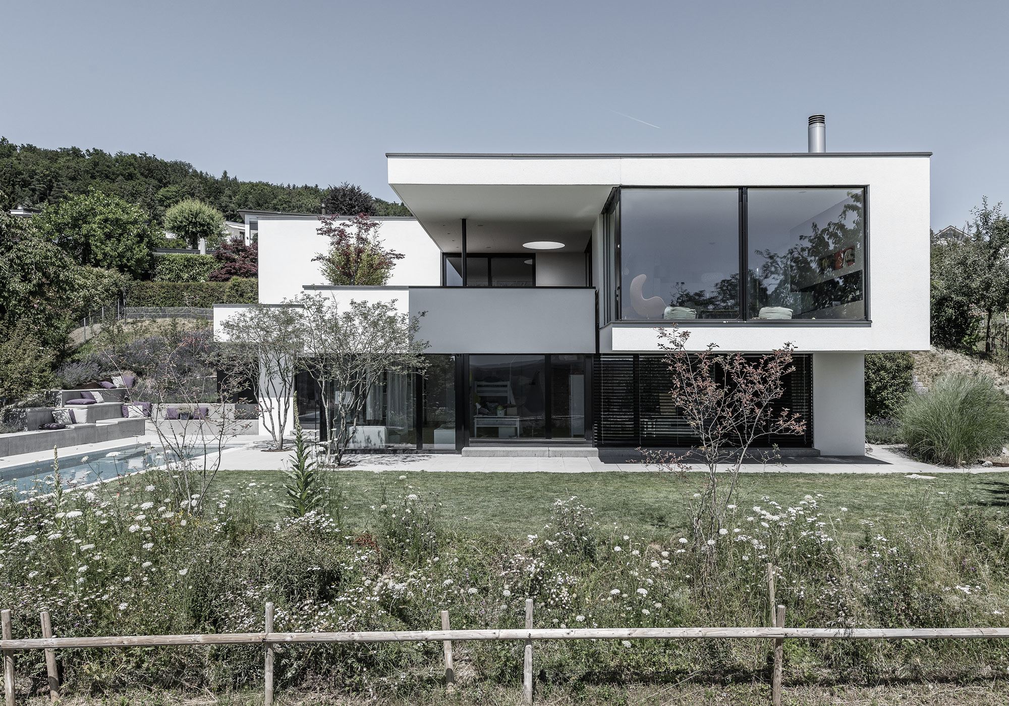 White flat-roofed house with pool and wildflower meadow – Single-family house in Uitikon