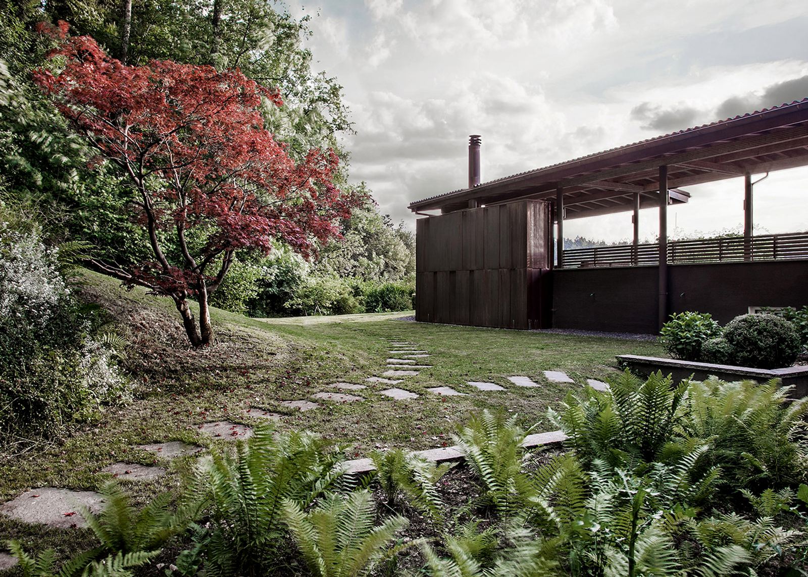 Garden path with stepping stones and ferns