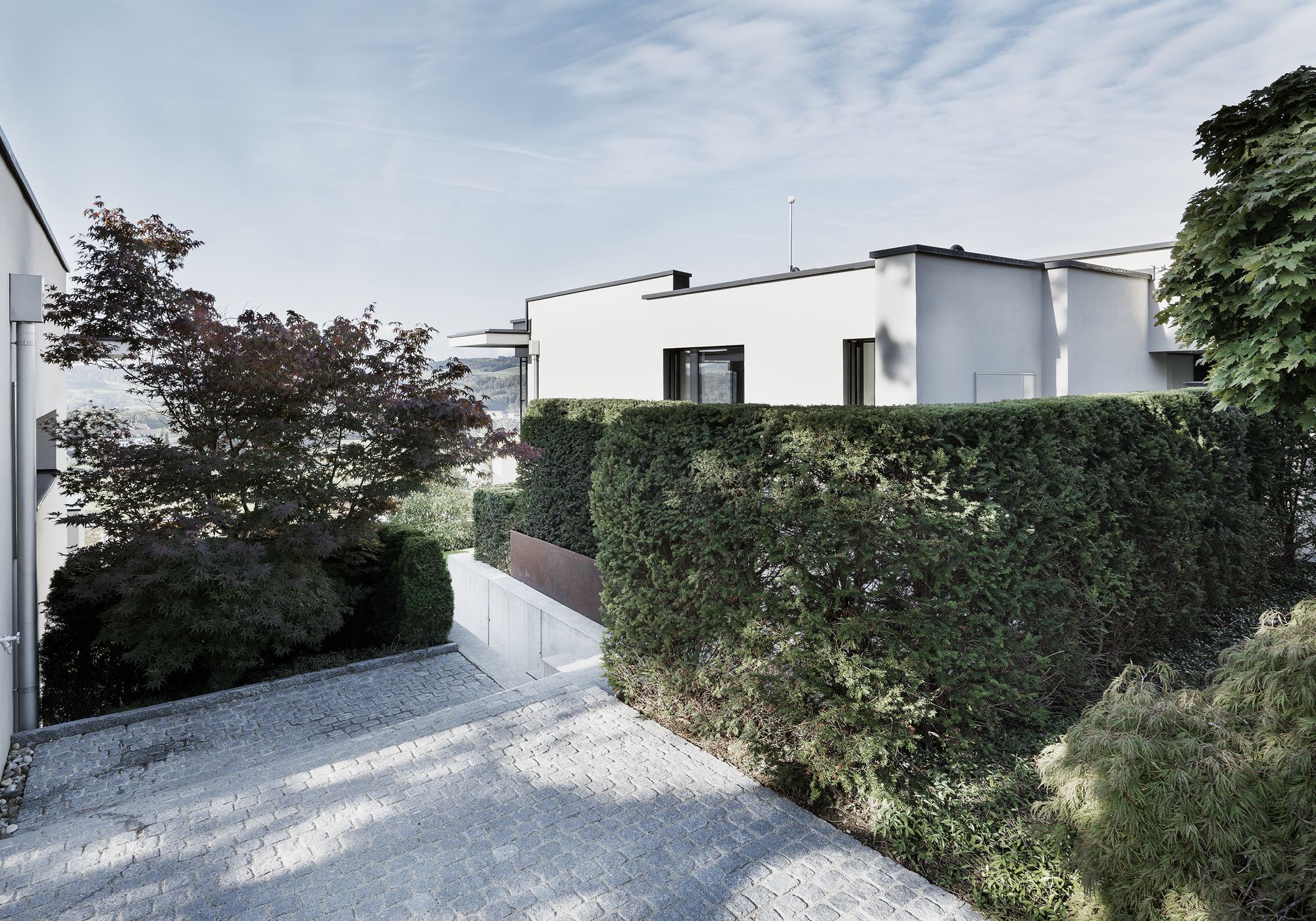 Driveway with hedge and white flat-roofed building – Single-family house in Uitikon
