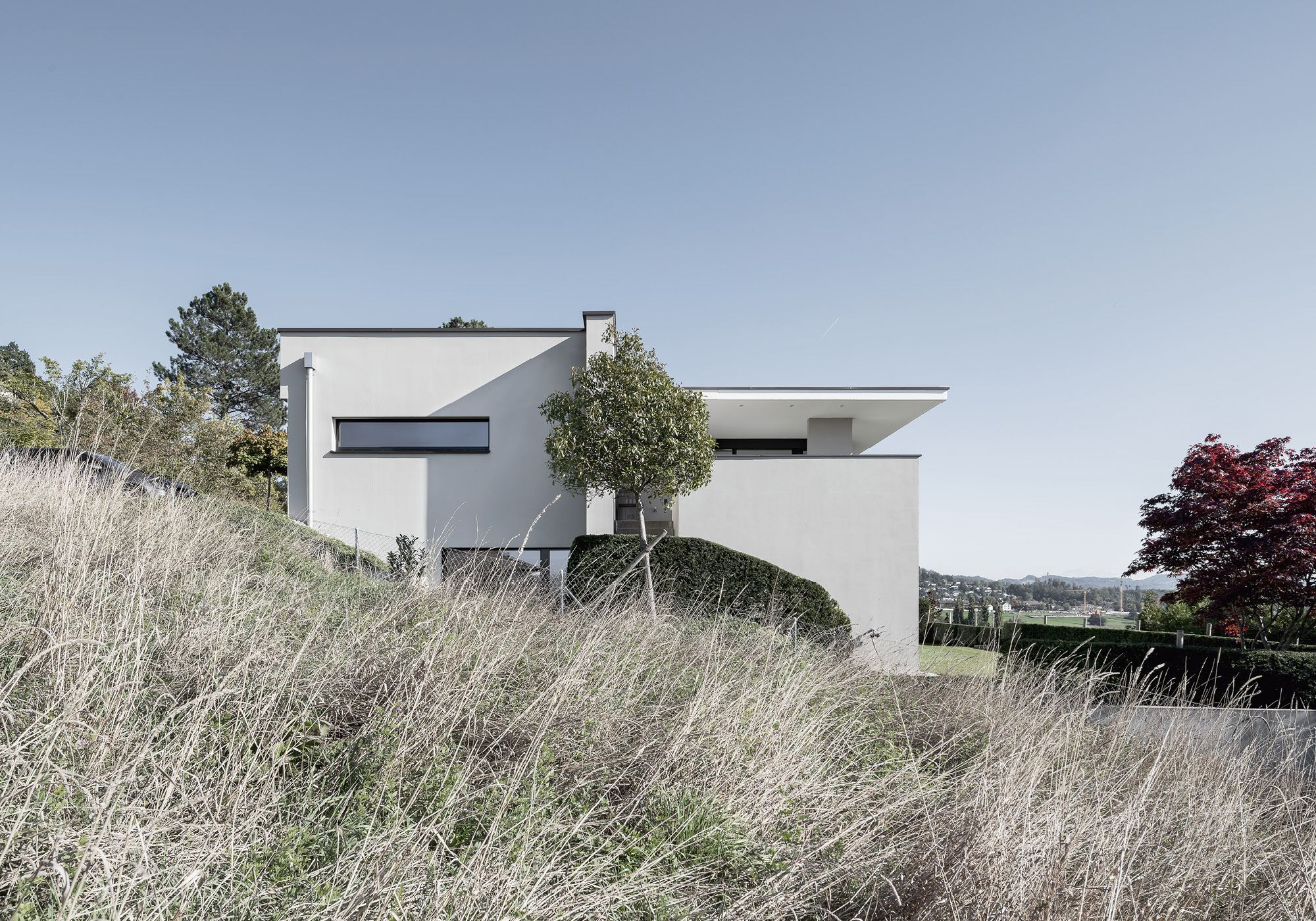 White building behind tall grasses – Single-family house in Uitikon