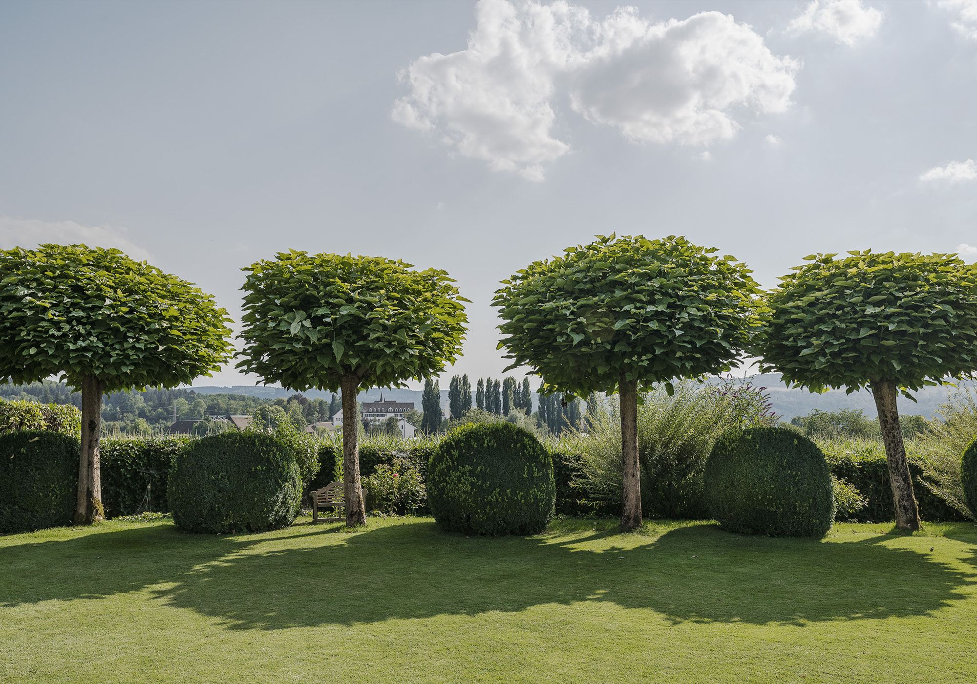 Row of ball-shaped trees above the lawn – Single-family house in Uitikon