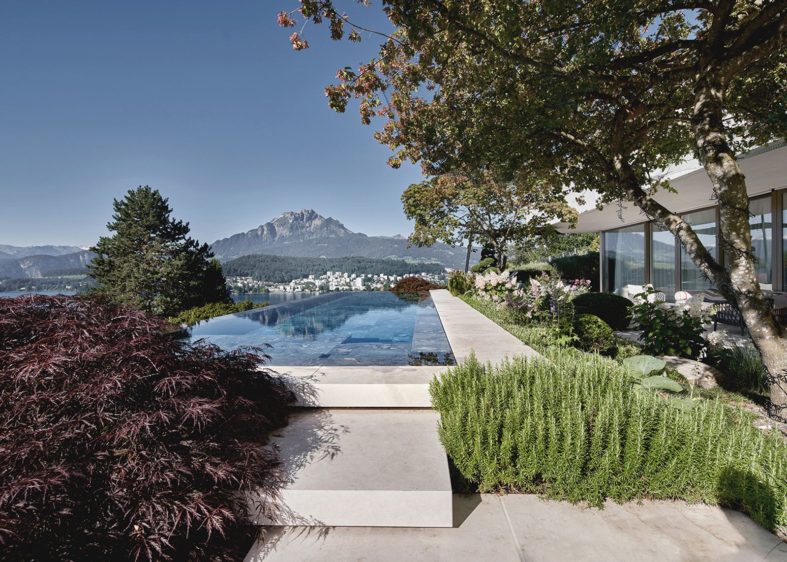 Pool with mountain view and Japanese maple