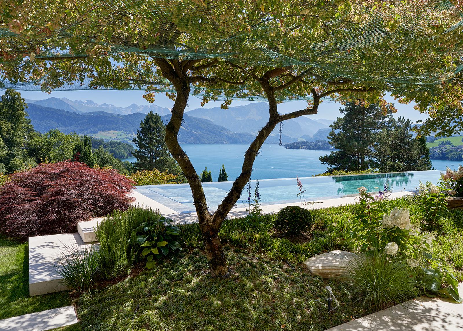 Infinity pool beneath a tree with lake view