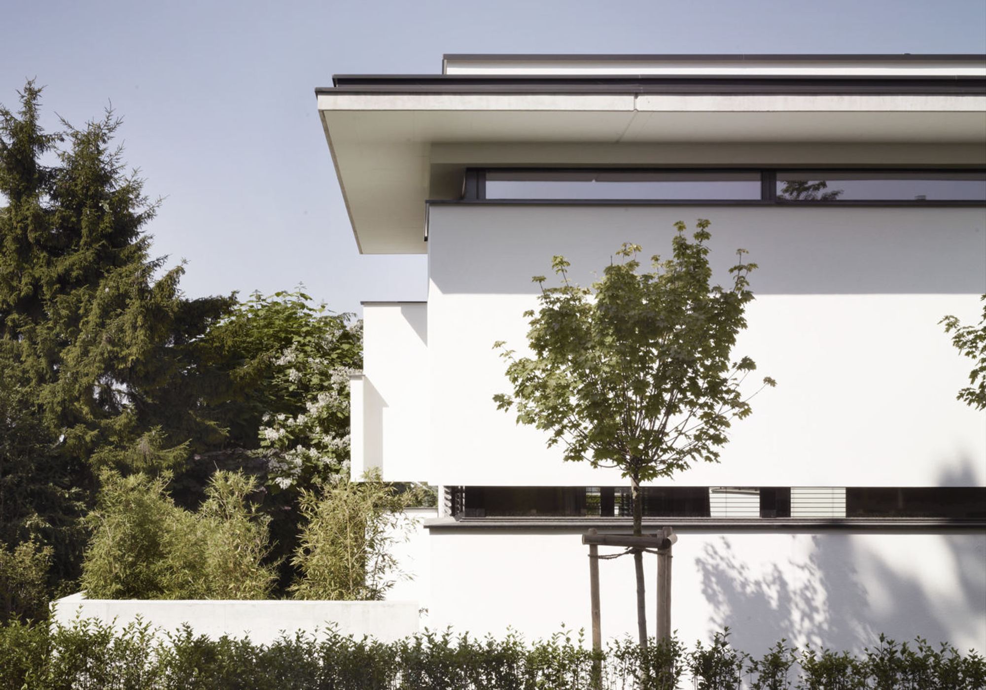 Facade corner with canopy and young tree – Apartment building in Uitikon