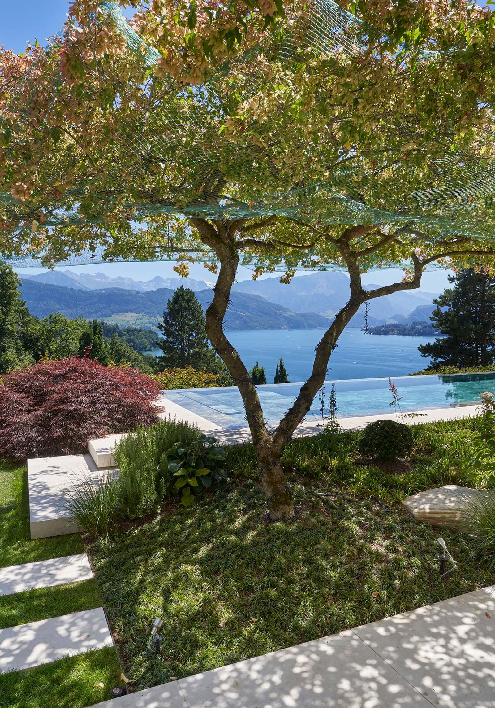 Garden path with tree and view of the lake