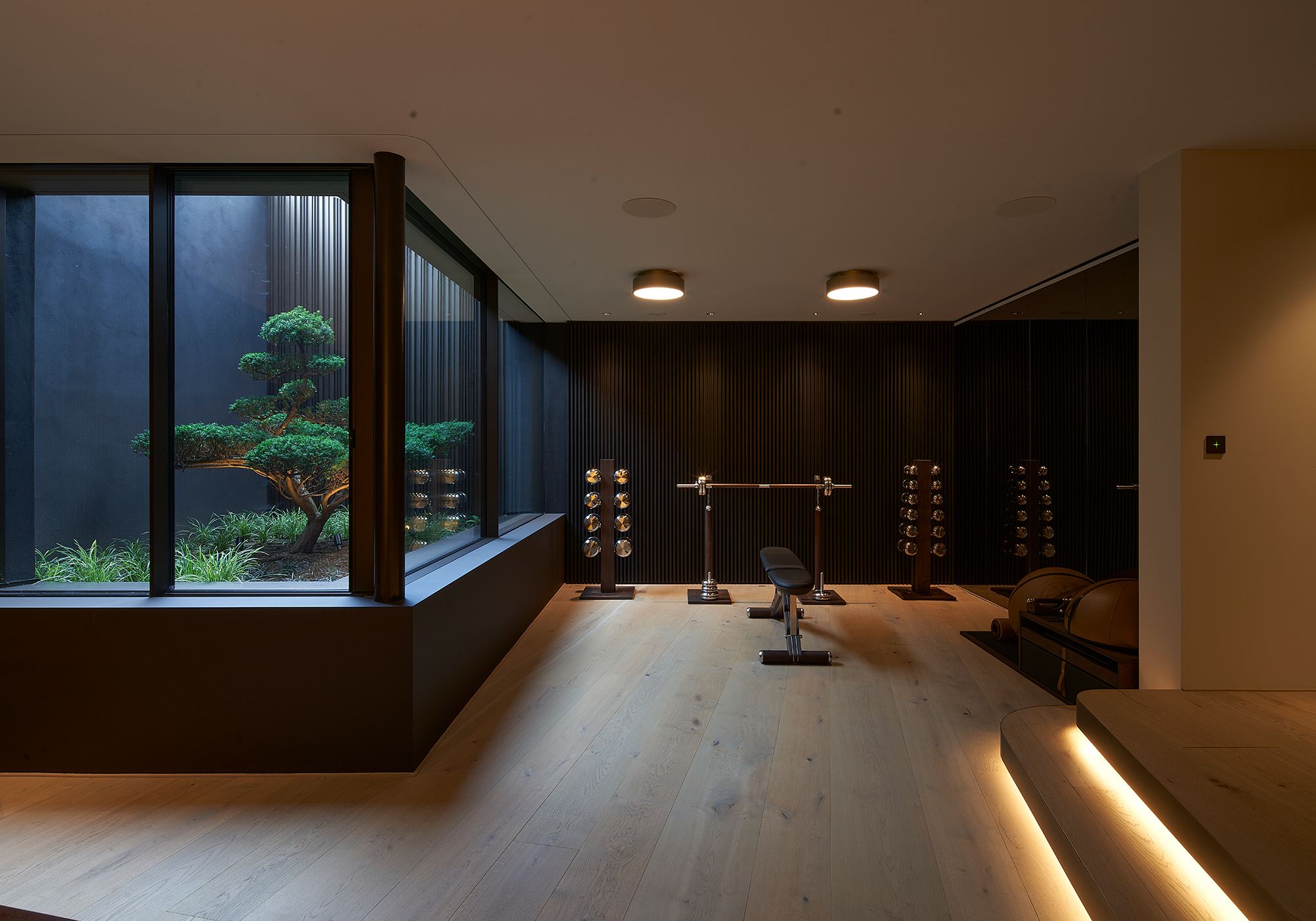 Gym with view into a light well with topiary tree – Single-family house in Schindellegi