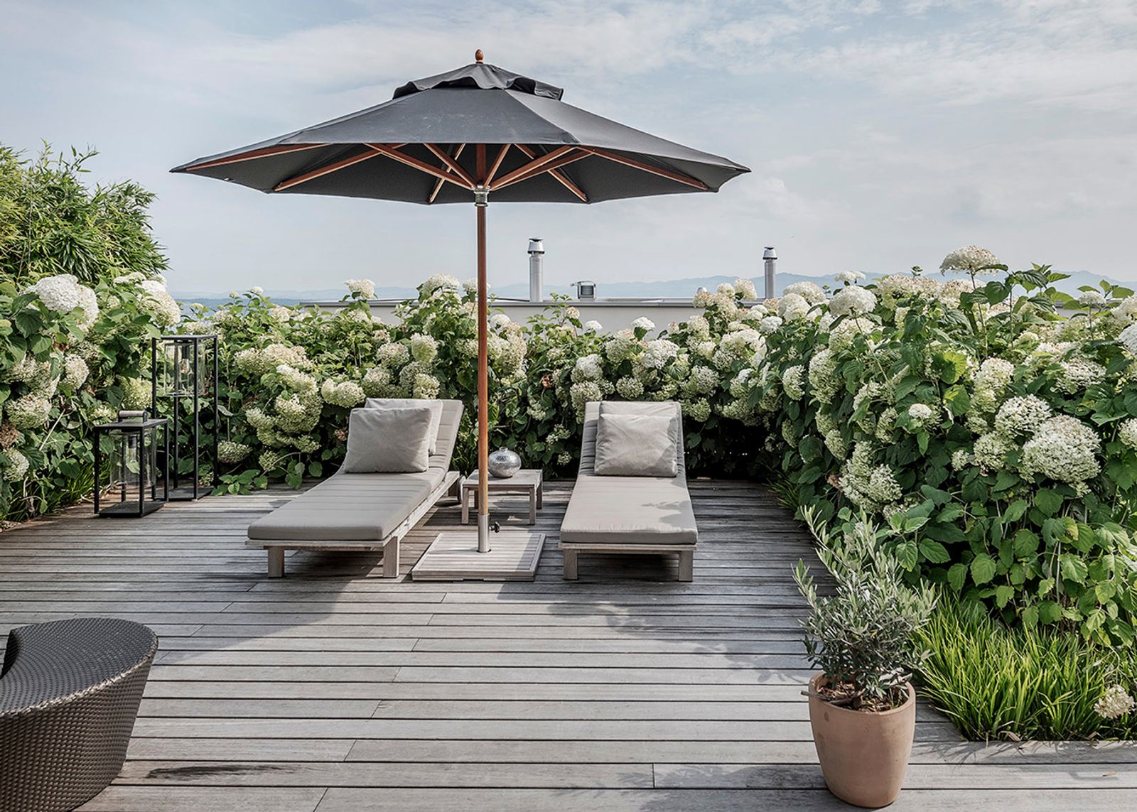 Roof terrace with loungers, parasol and hydrangeas