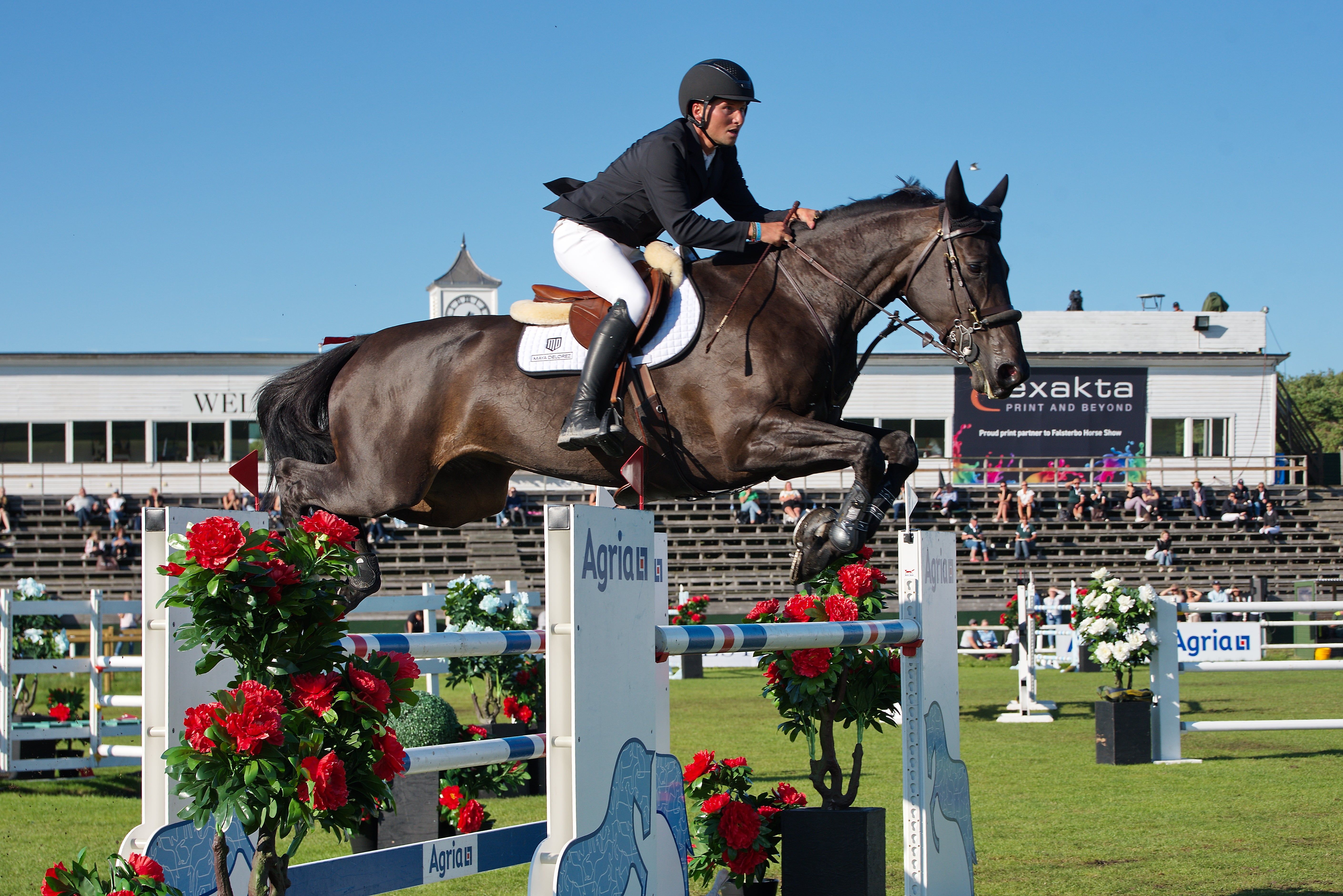 Pål Flam/ Omonza D C/ sprang/ nryf