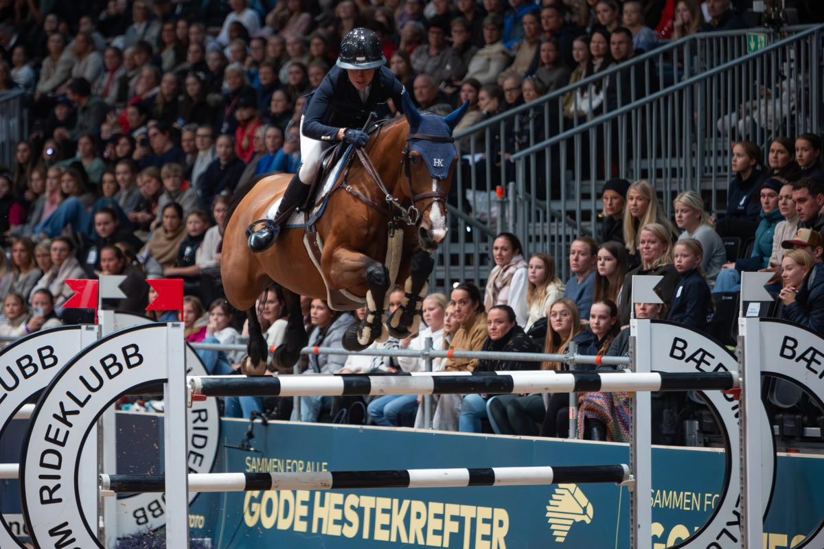 hest / Norges Rytterforbund / Oda Charlotte Lyngvær