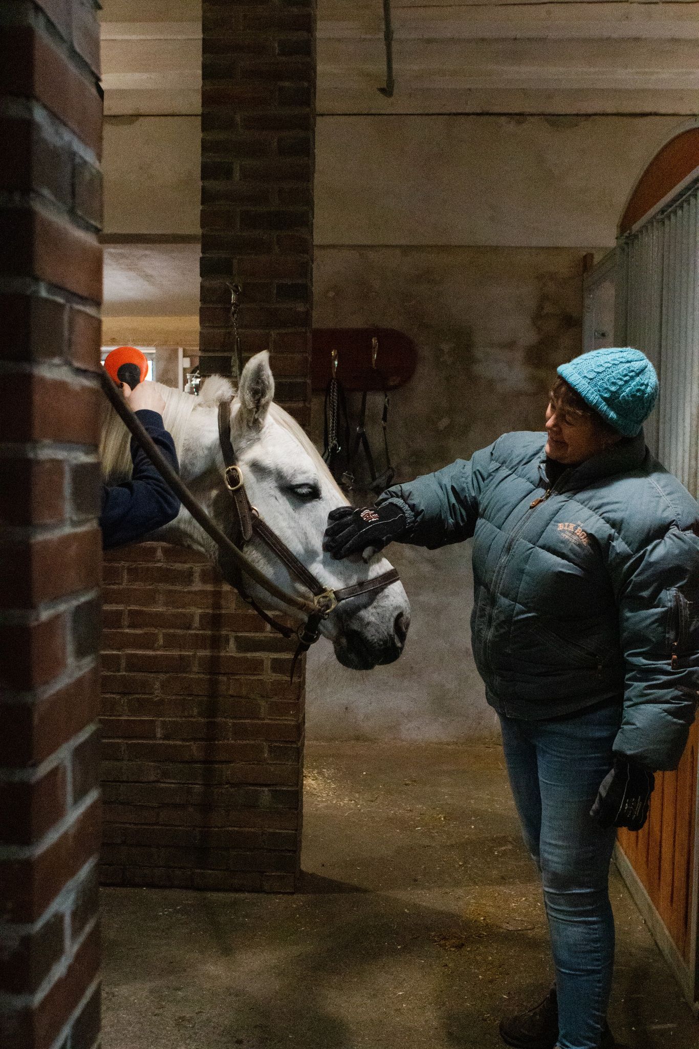 hest / Norges Rytterforbund