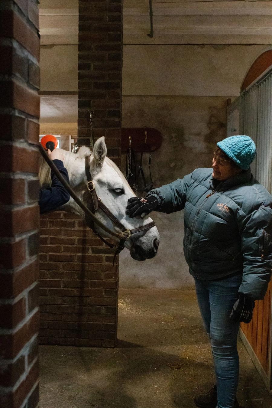 hest / Norges Rytterforbund