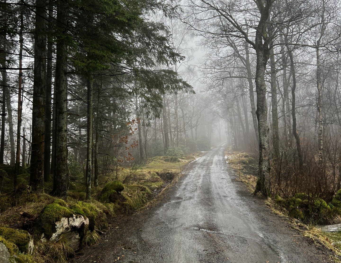 hest / Norges Rytterforbund 