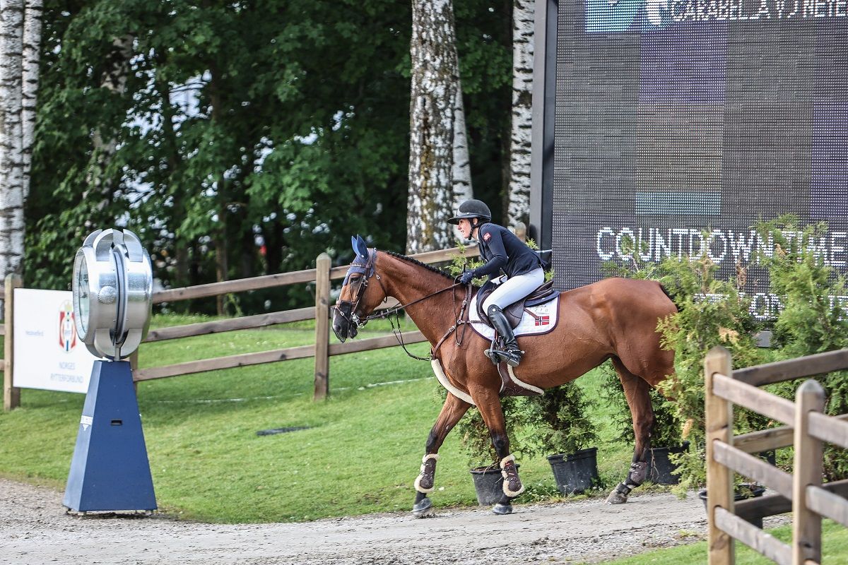 hest / Norges Rytterforbund