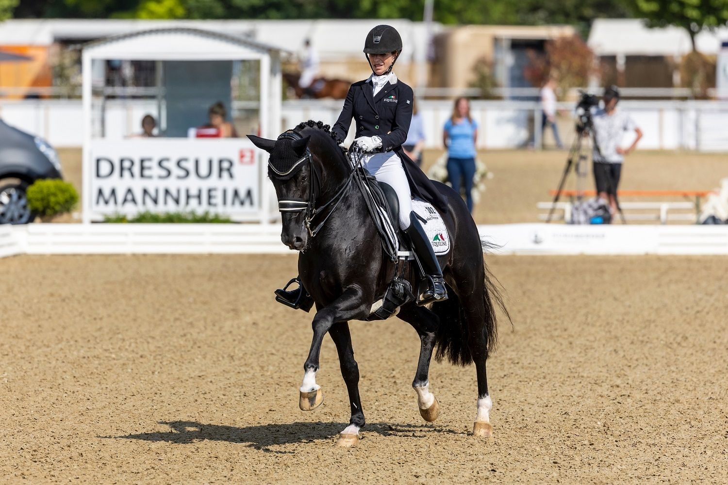 hest / Norges Rytterforbund