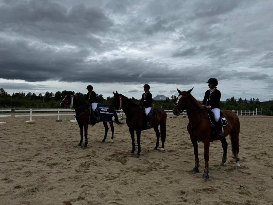 Plasserte i RM 120 cm: Stine Brotkorb Nilsen/Quality fra Skånland stall og rideklubb, 2.plass Vera Jacobsen/Favorit Zigge K2 fra Skjomen IL, 3.plass Vivi Nystad/Dubai Vd Palsbos Z fra Narvik Ryttersportsklubb.