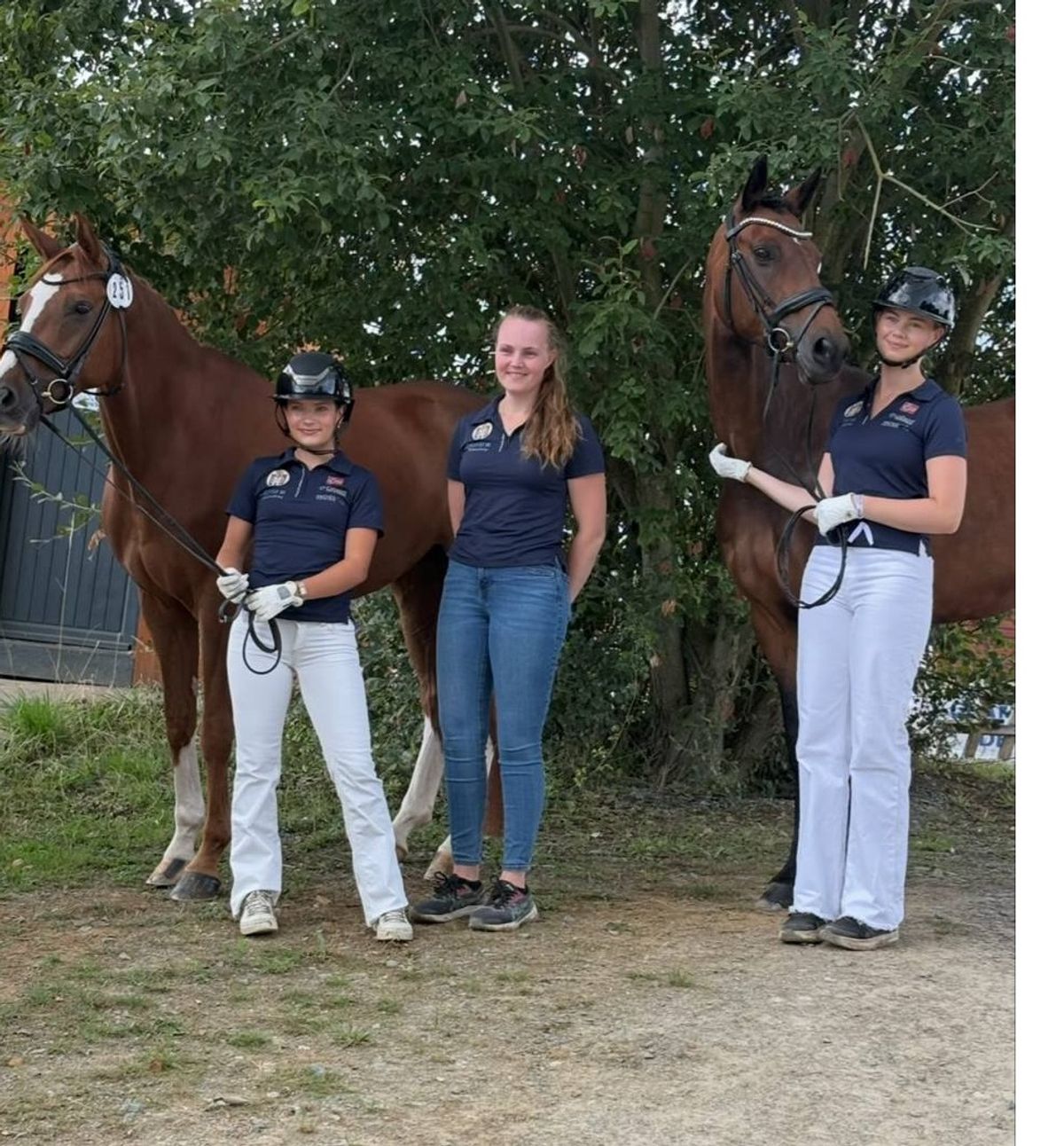 hest / Norges Rytterforbund