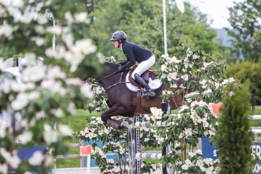 hest / Norges Rytterforbund