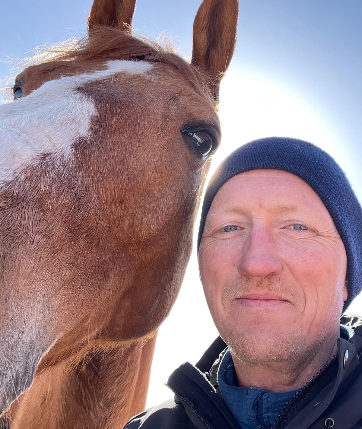 hest / Norges Rytterforbund