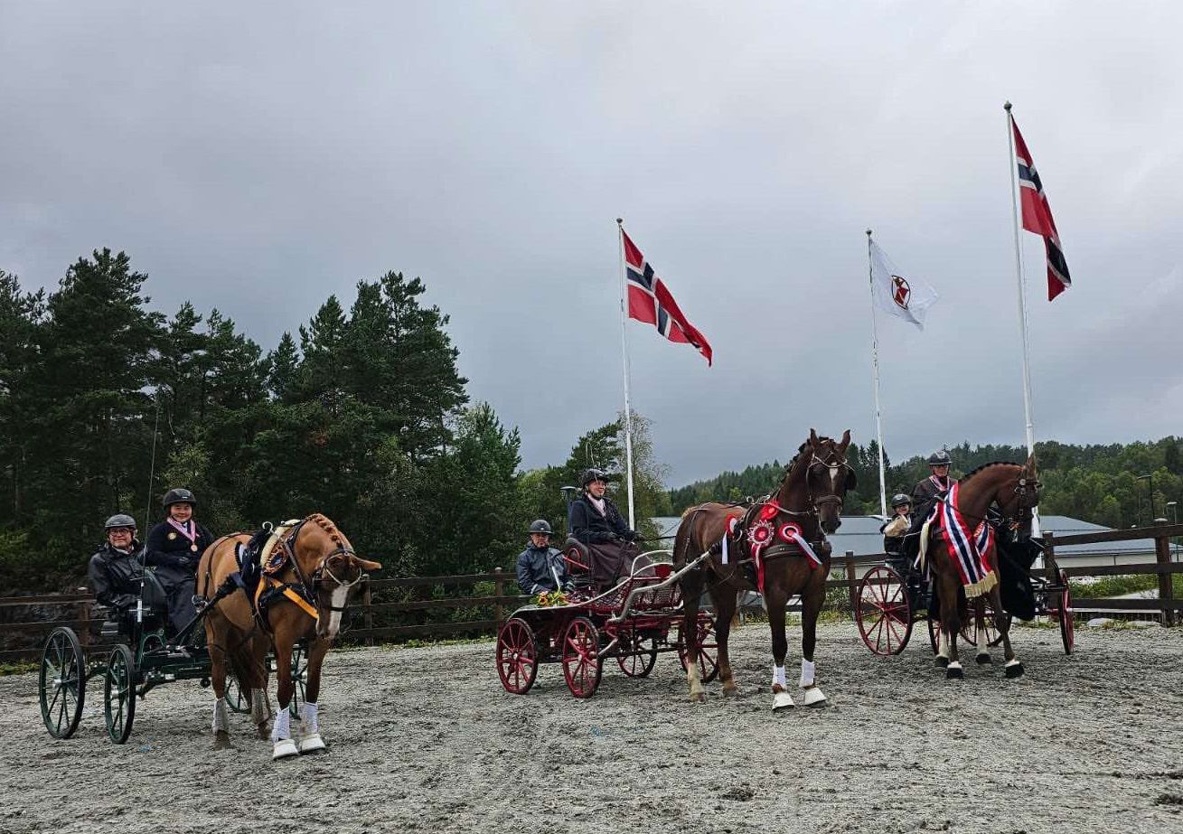 hest / Norges rytterforbund