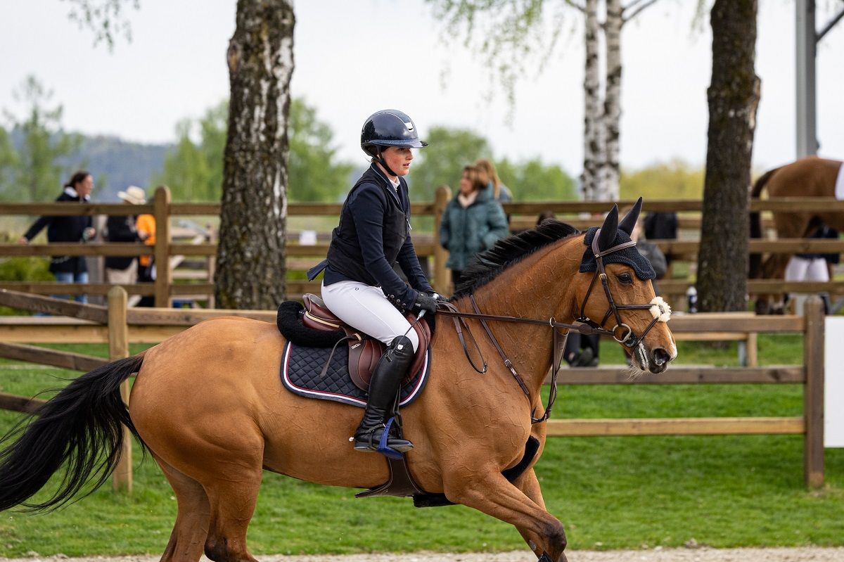 hest / Norges Rytterforbund