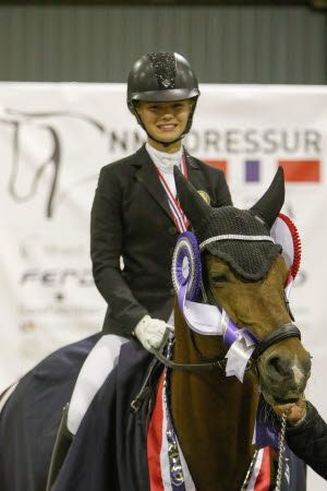 hest / Norges Rytterforbund