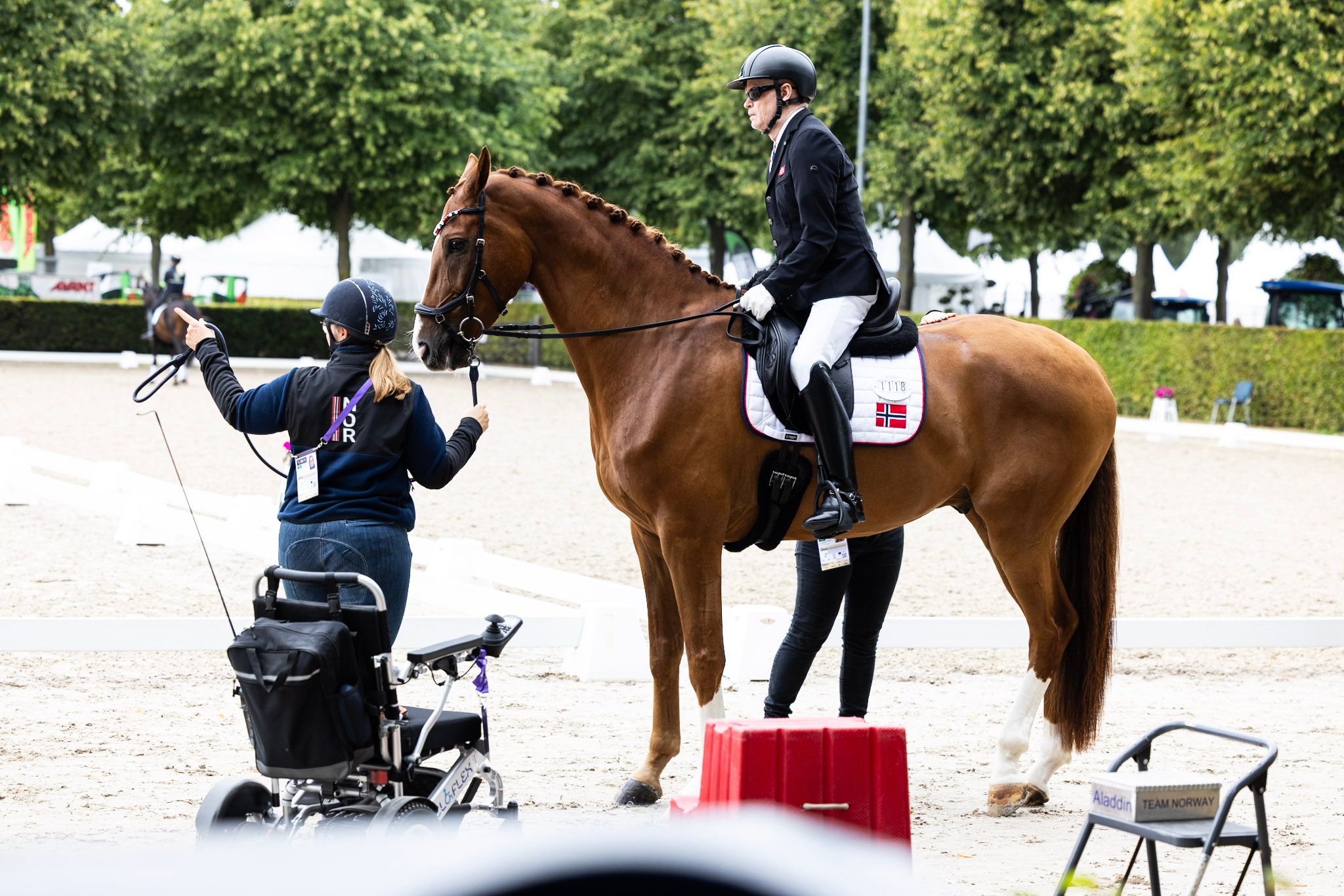 hest / Norges Rytterforbund / paradressur