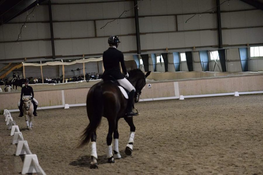 hest / Norges rytterforbund