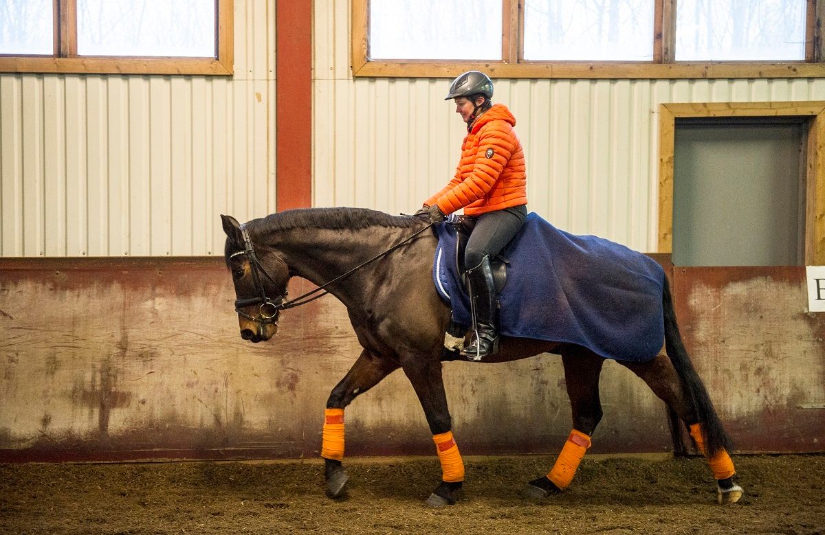 Skritt viser hestens mentale tilstand