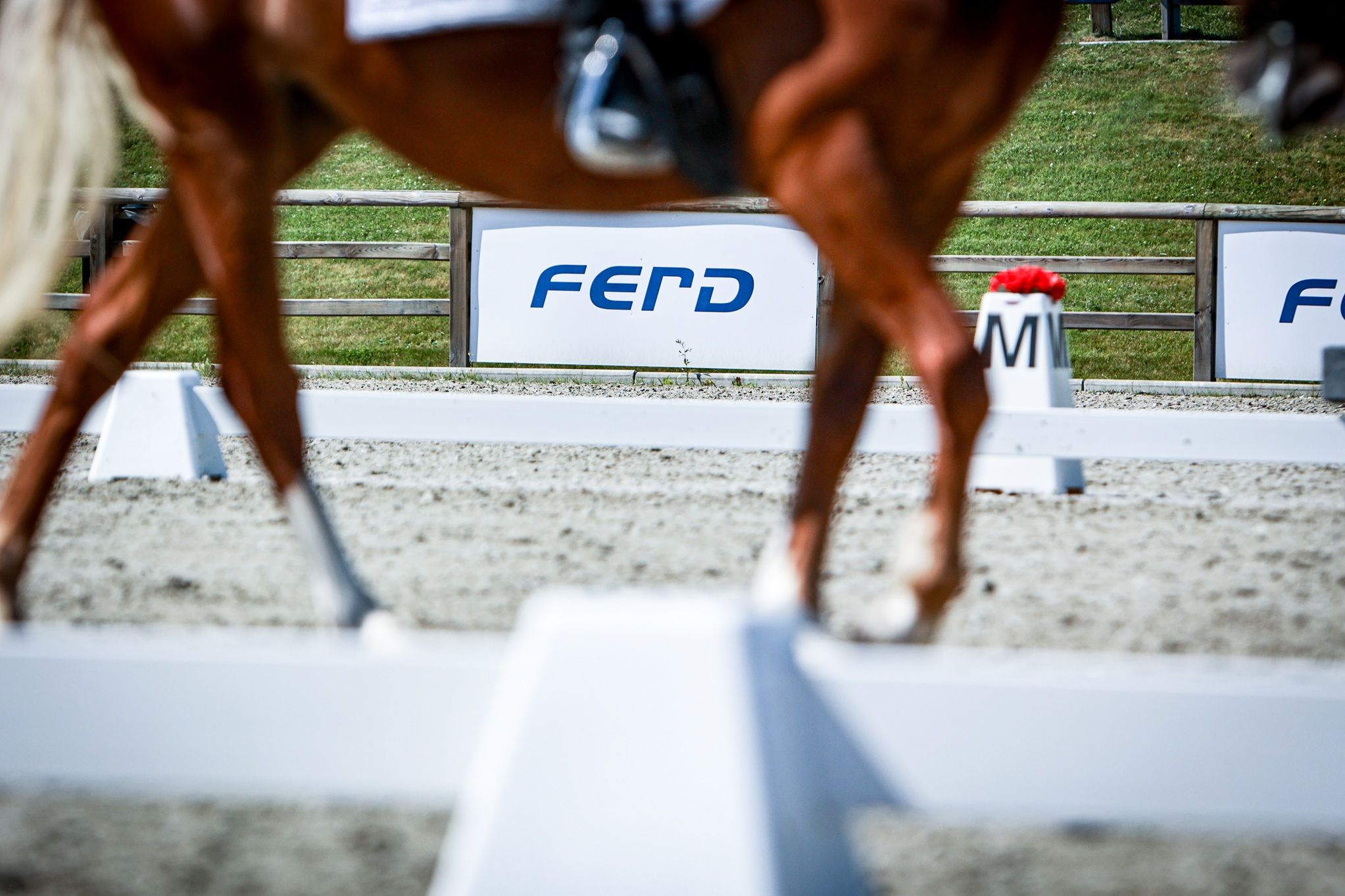 hest / Norges Rytterforbund / FERD Comeback Cup