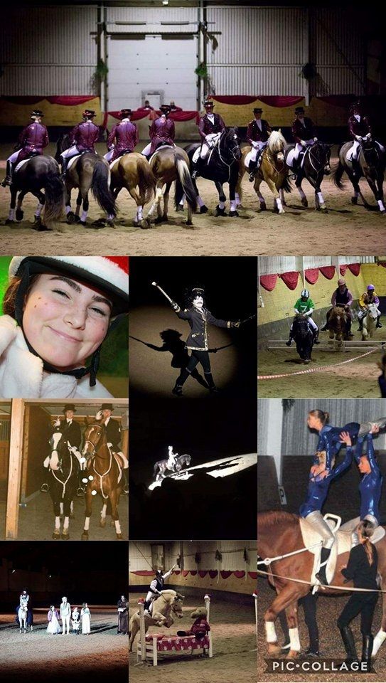 hest / Norges rytterforbund