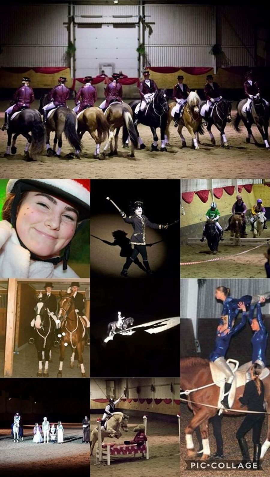 hest / Norges rytterforbund