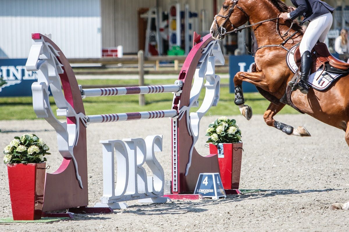 hest / Norges Rytterforbund