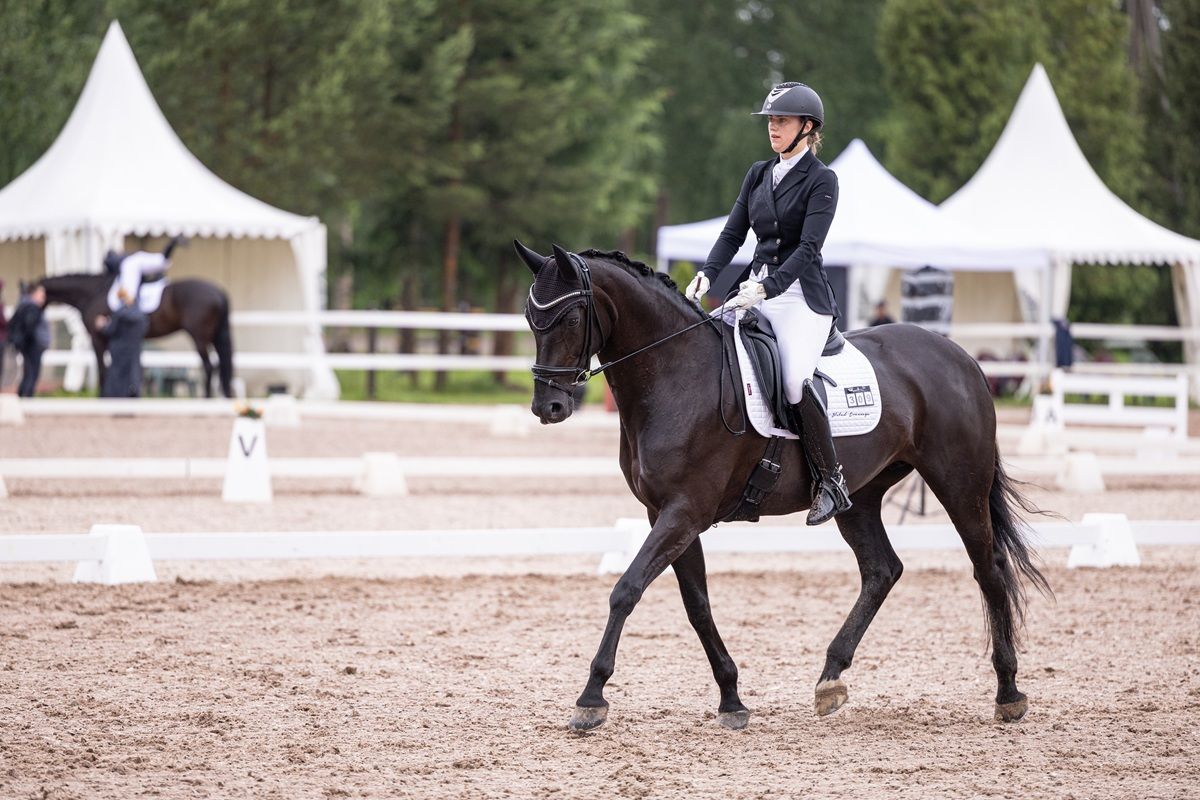 hest / Norges Rytterforbund