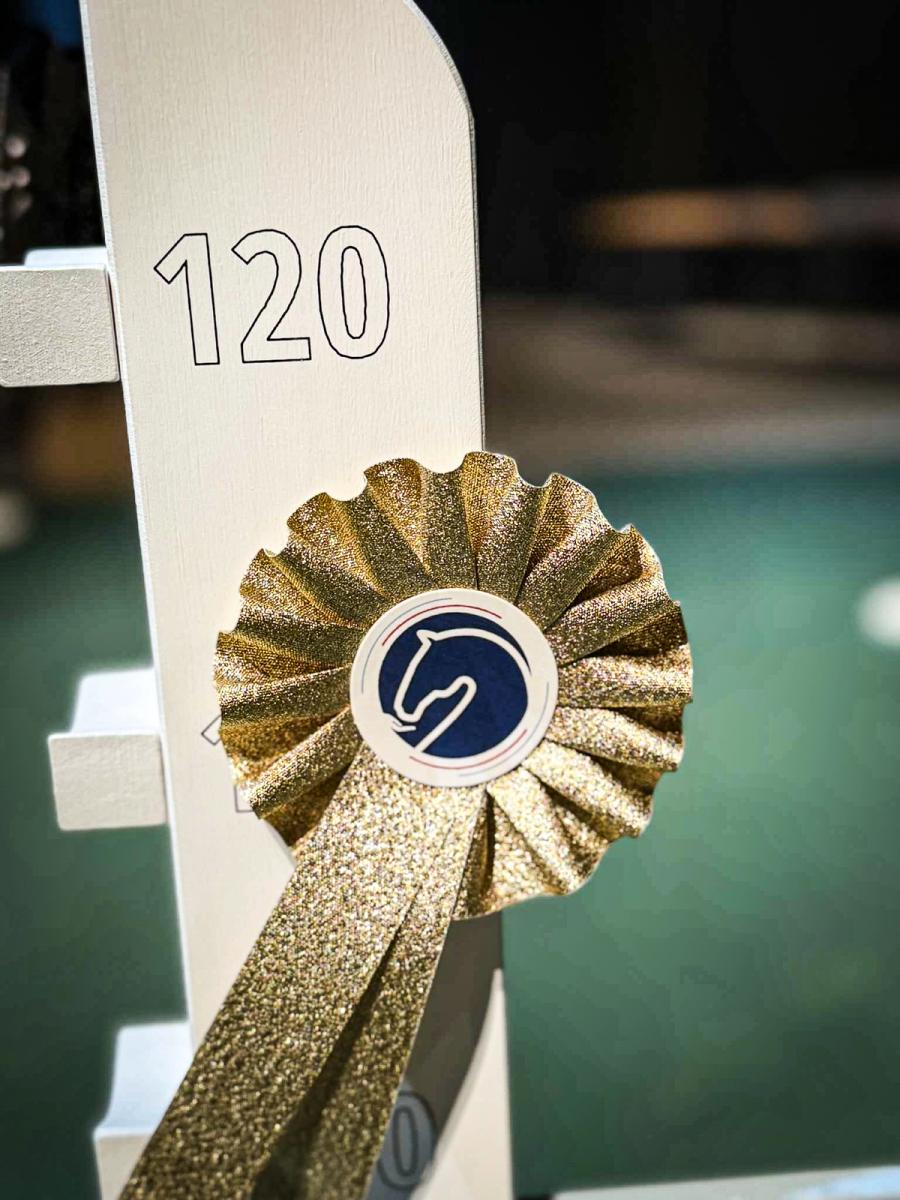 Hest / Hestevelferd for alle / Norges Rytterforbund / Agria Oslo Horse Show