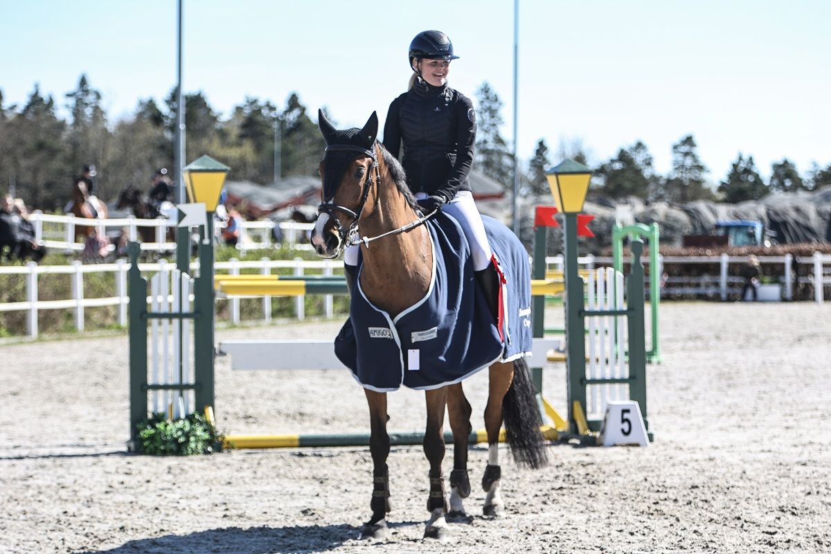 hest / Norges Rytterforbund 