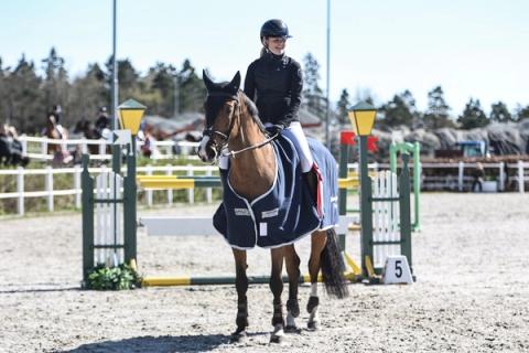 hest / Norges Rytterforbund