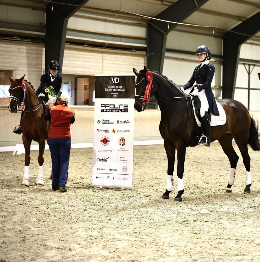 hest / Norges Rytterforbund / Vestlandets Dressurfestival / dressur