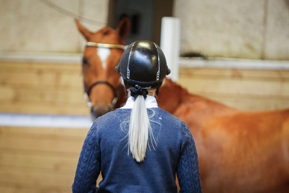hest / Norges Rytterforbund