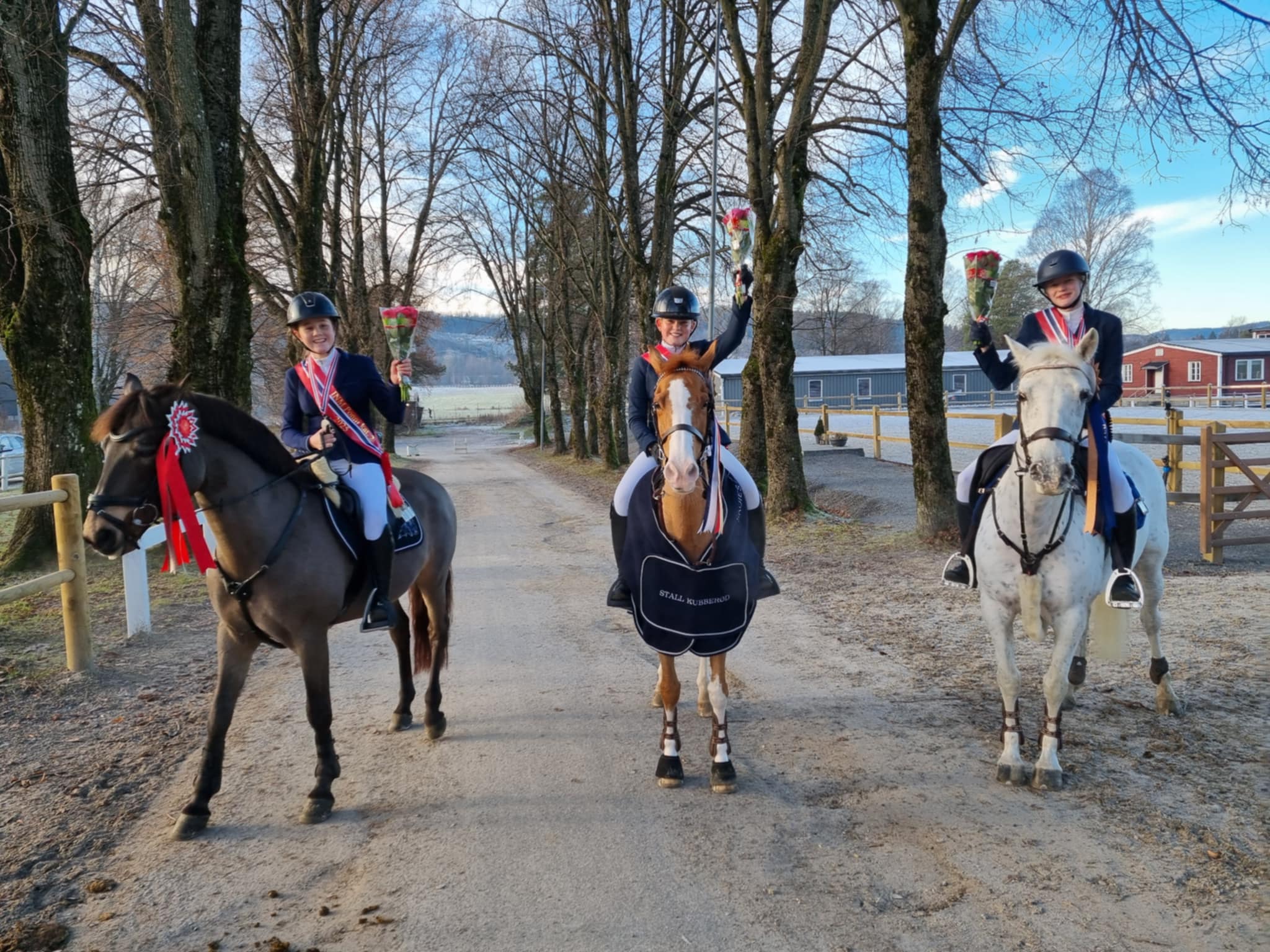 hest / Norges Rytterforbund / INM /sprang