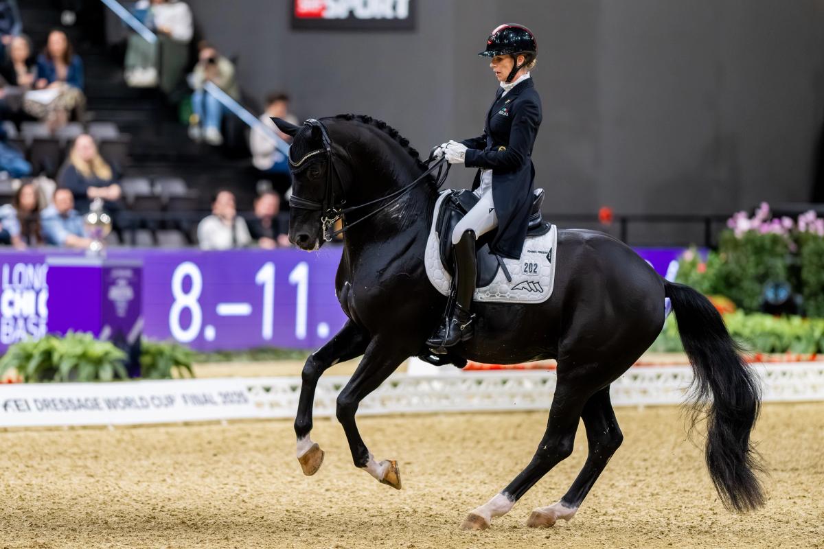 hest / Norges Rytterforbund / Isabel Freese