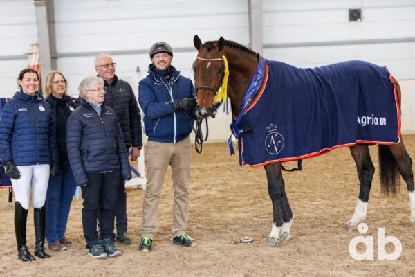 hest / Norges Rytterforbund