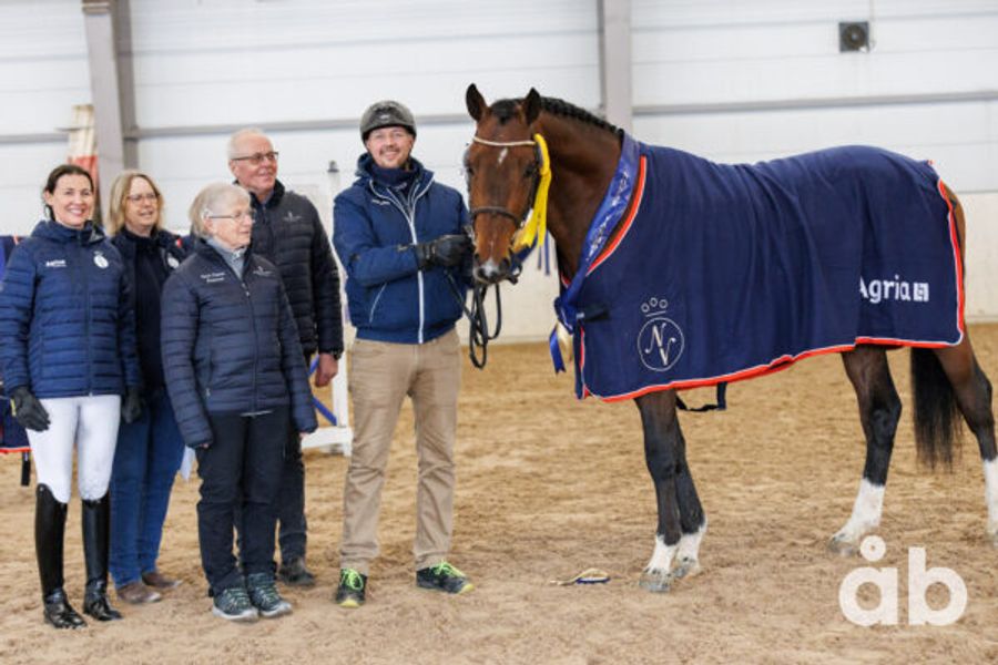 hest / Norges Rytterforbund